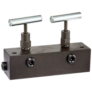 Freedom Hydraulics 6" Long Manifold Block With 2 Needle Valves, 1 IN - 2 OUT, 3/8" NPTF - MANN2 - Empire Lube Equipment