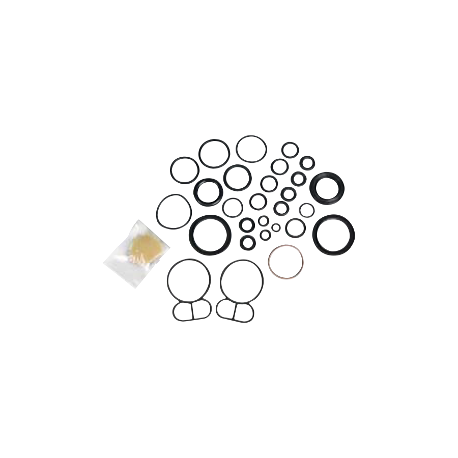 Pump Rebuild Kit for a Lower End Overhaul for ARO