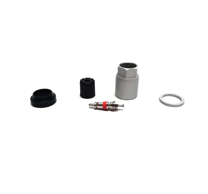 MT-RSR Hamaton TPMS Kit - 6-111, 1100K For Pacific LFB1/LFC1 - 10bx HAM-6111