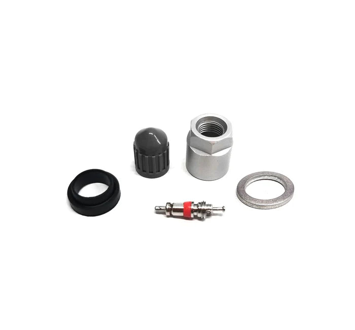 MT-RSR Hamaton TPMS Kit - 6-117, 1120K For Pacific LFB1 / LFC1 - 10bx HAM-6117