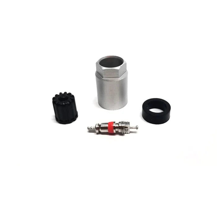 MT-RSR Hamaton TPMS Kit - 6-118, 2010K For Schrader Gen 2/3 - 10bx HAM-6118