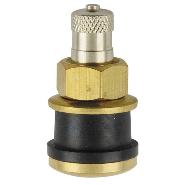 MT-RSR TR575 - Clamp-In Truck Tire valve - 1.13" - Straight - Each REM-TR575