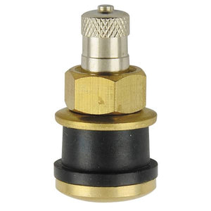 MT-RSR TR575 - Clamp-In Truck Tire valve - 1.13" - Straight - Pack of 10 REM-TR575-10