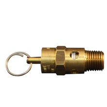 Load image into Gallery viewer, Milton S-1090-150 1/4&quot; MNPT ASME Safety Valve, 150 PSI Pop off Pressure
