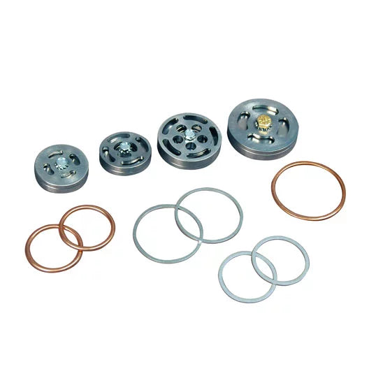 SVI INTERNATIONAL AS-2205-05 Replacement Valve kit w/Gaskets Ref# Z102