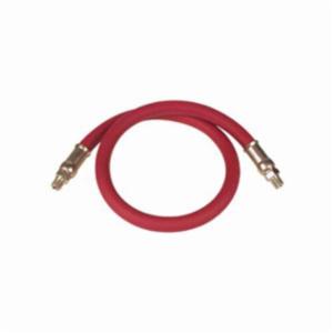 Alemite, 317811-5 5' Air/Water Hose, 1/2