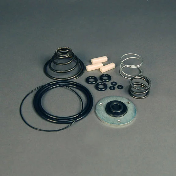 SVI INTERNATIONAL BL-2201-131 Air Motor Repair Kit Tiger 500 5:1 Ref# 826280