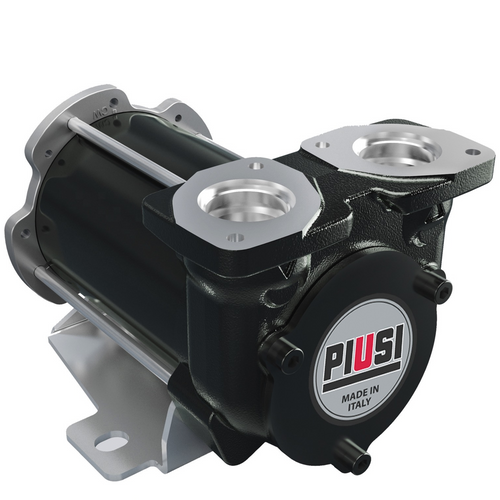 PIUSI BP3000 24V 12GPM (pump only) F00347000