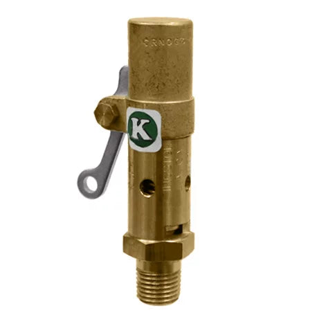 SVI INTERNATIONAL FK-119CSS-250 1/4" Pop Safety Valve