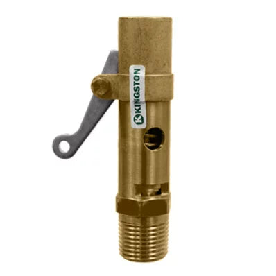 SVI INTERNATIONAL FK-119CSS-500 1/2" Pop Safety Valve