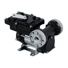 Load image into Gallery viewer, PIUSI ATEX AC PUMPS F0037300A