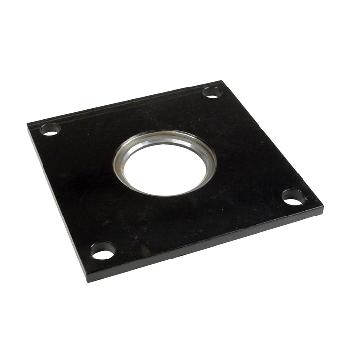 SVI INTERNATIONAL BW-1217-31  Pivot Plate Ref# 181731, 8181731