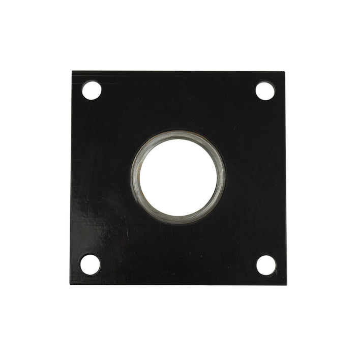 SVI INTERNATIONAL BW-1217-31  Pivot Plate Ref# 181731, 8181731