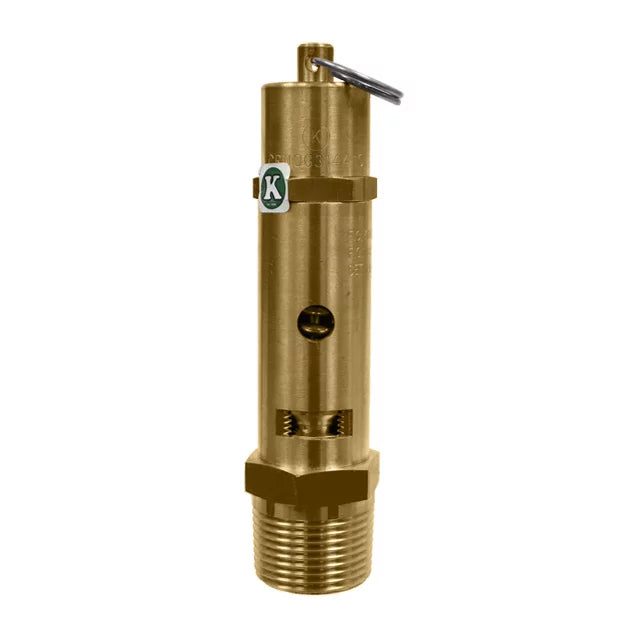 SVI INTERNATIONAL FK-118CSS-1000 1" Pop Safety Valve