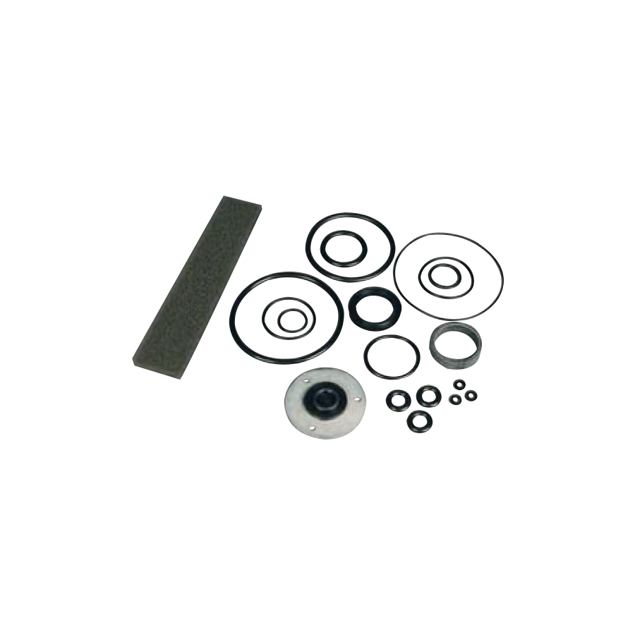 Air Motor Seal Kit for 5:1 Tiger 500 - Empire Lube Equipment