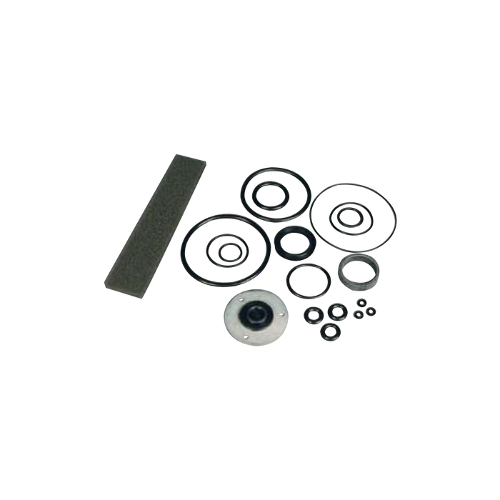 Air Motor Seal Kit for 5:1 Tiger 500 - Empire Lube Equipment