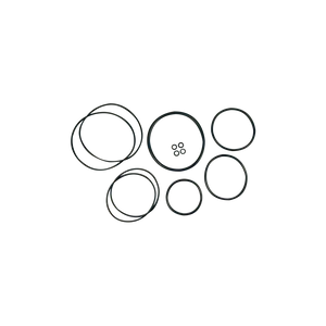 Air Motor Seal Kit for Lion & Tiger HP