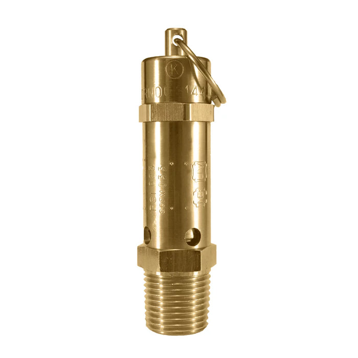 SVI INTERNATIONAL FK-112CSS-250 Pop Safety Valve