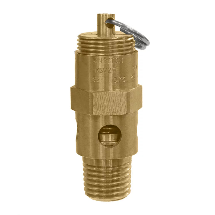 SVI INTERNATIONAL AS-2205-65 Safety Valve 1/4" 275 psi Ref# M2845